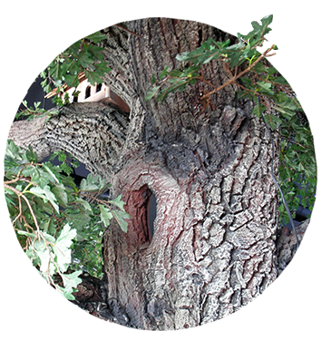 Artificial Trees