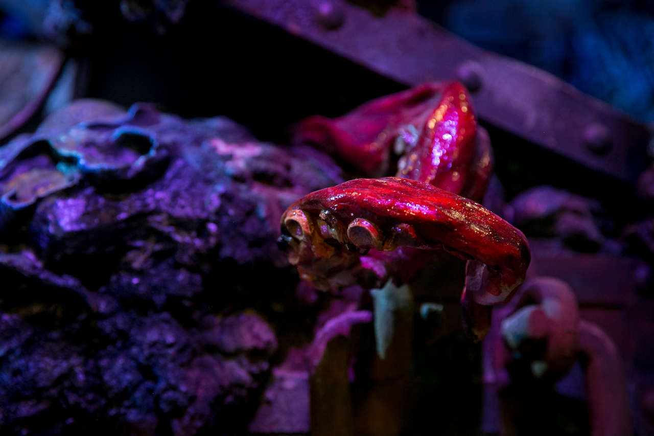 Tentacle