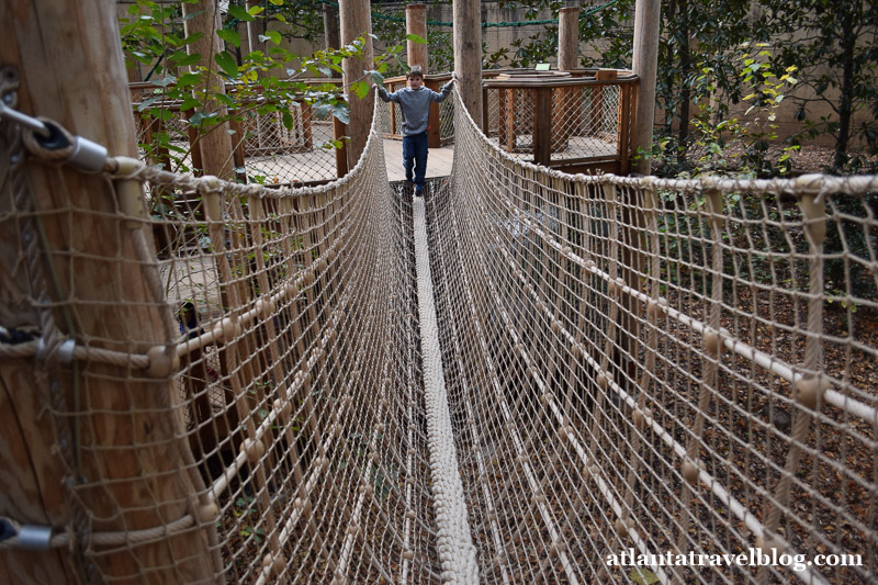 Net Bridge2
