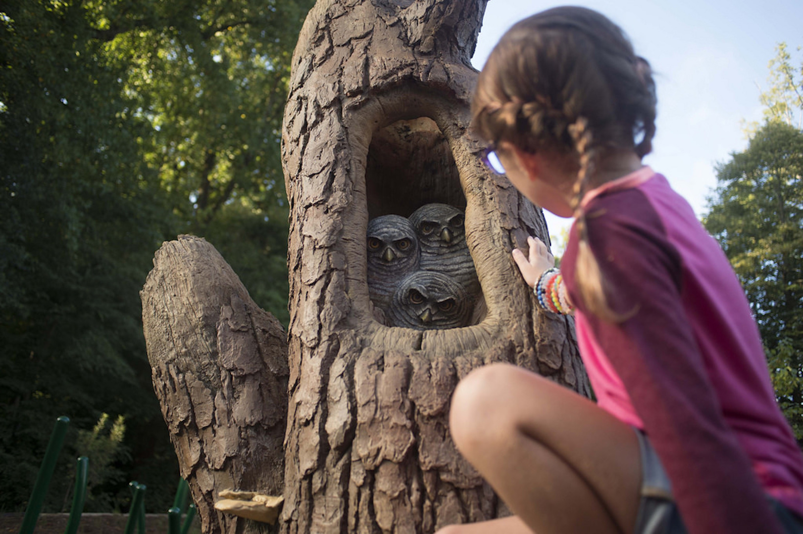 Owl Details