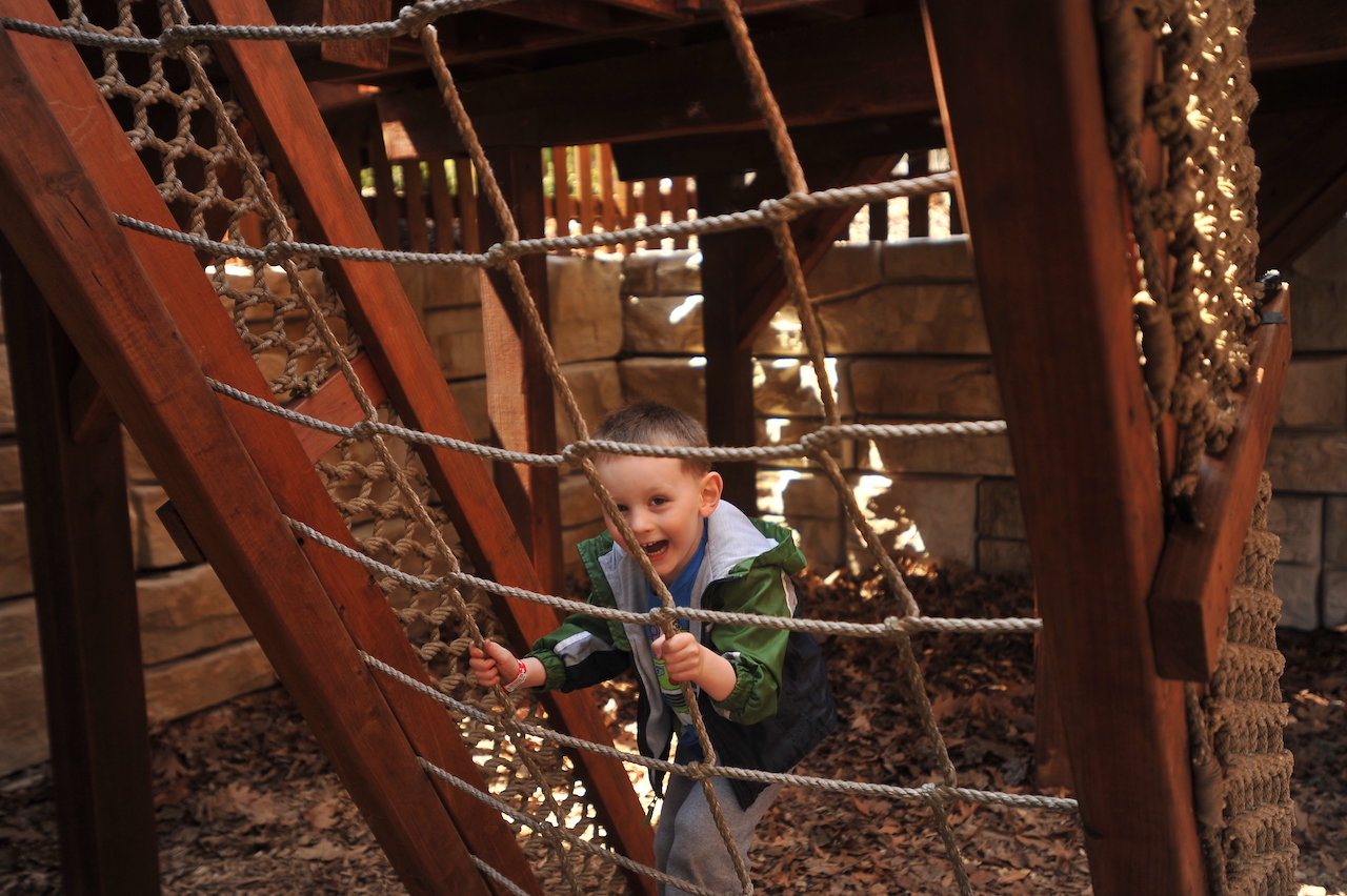 Climber-2