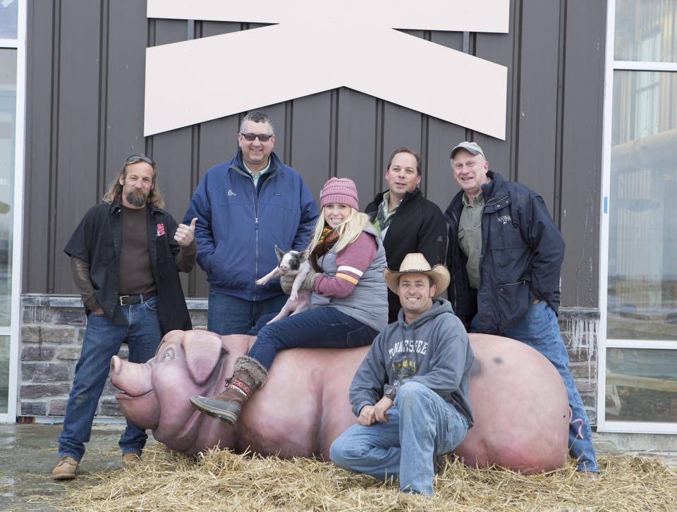 Pig Bench