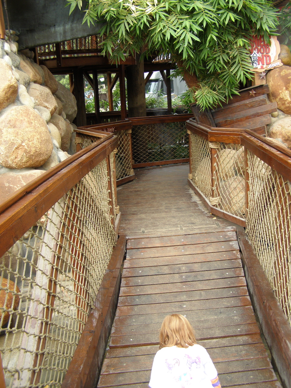 Swinging Bridge