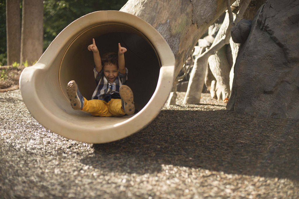 Slides