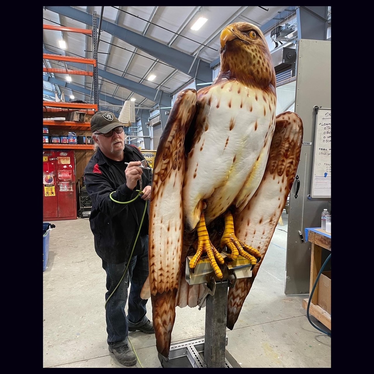Hawk