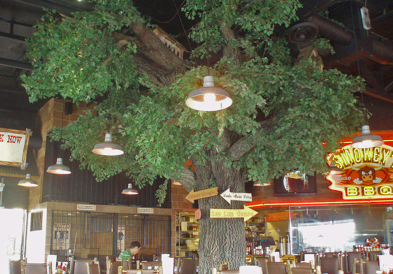 Trees hero 2