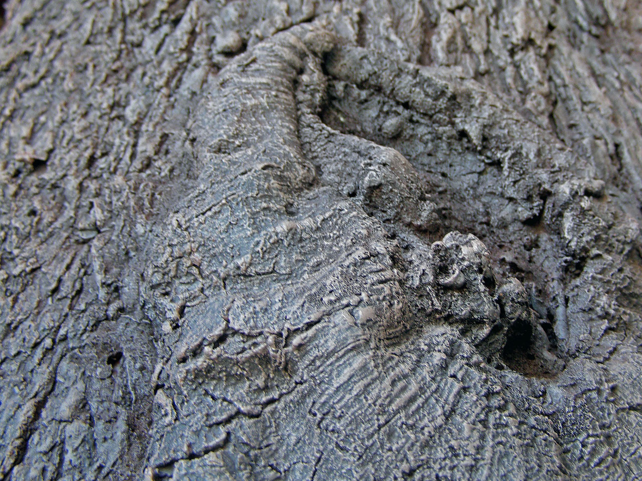 artificial-trees04