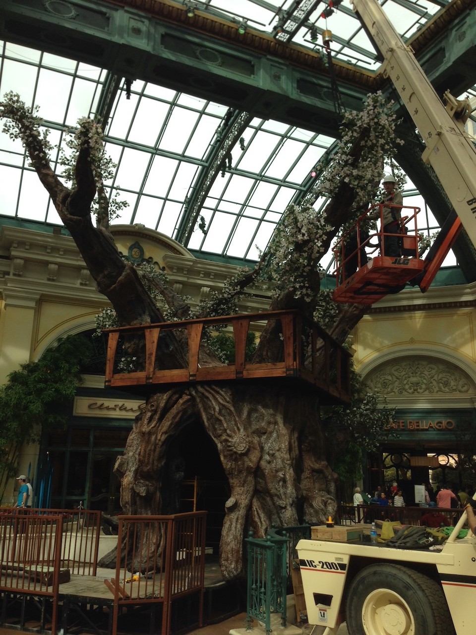 bellagio t4