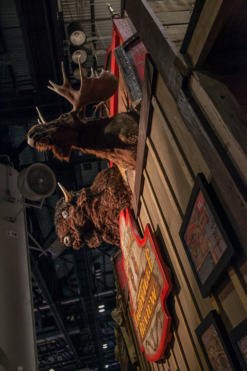 Moose
