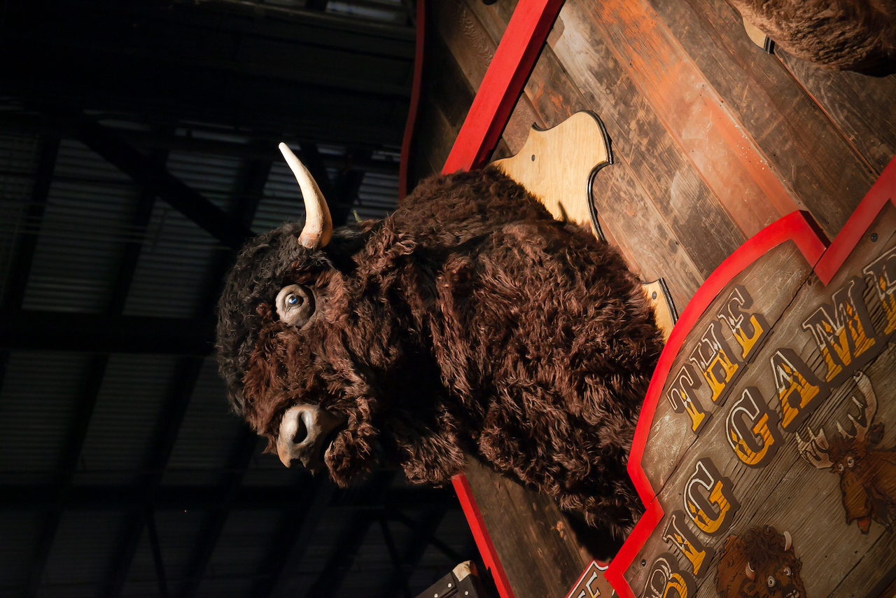 Tatanka