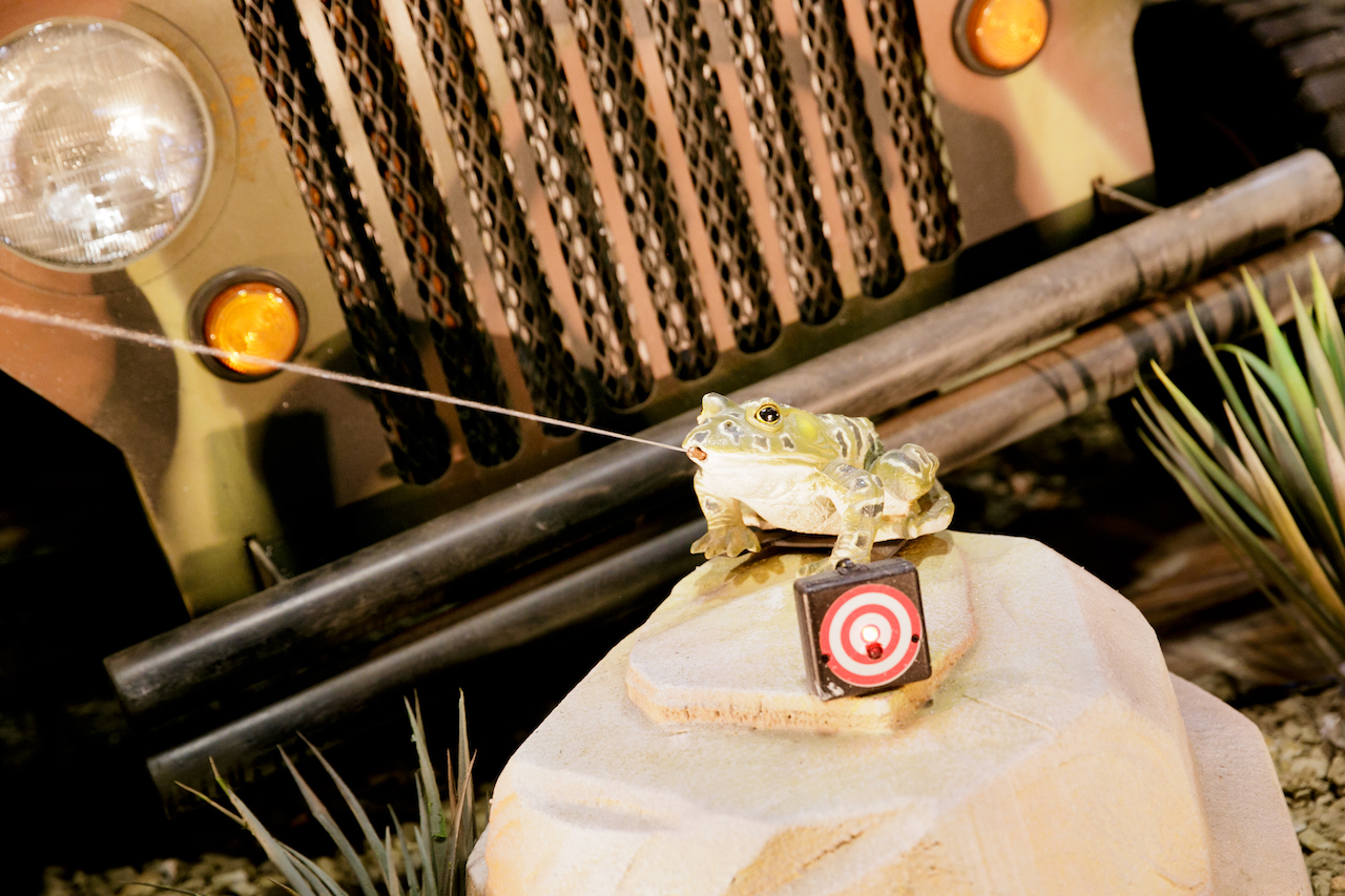 Squirting Frog