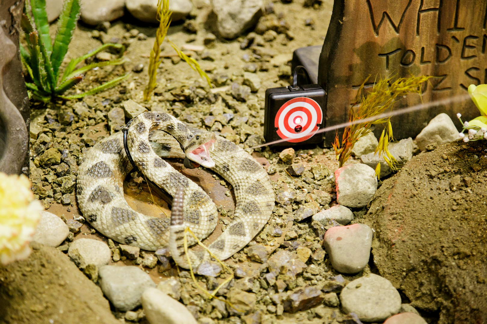 Snake