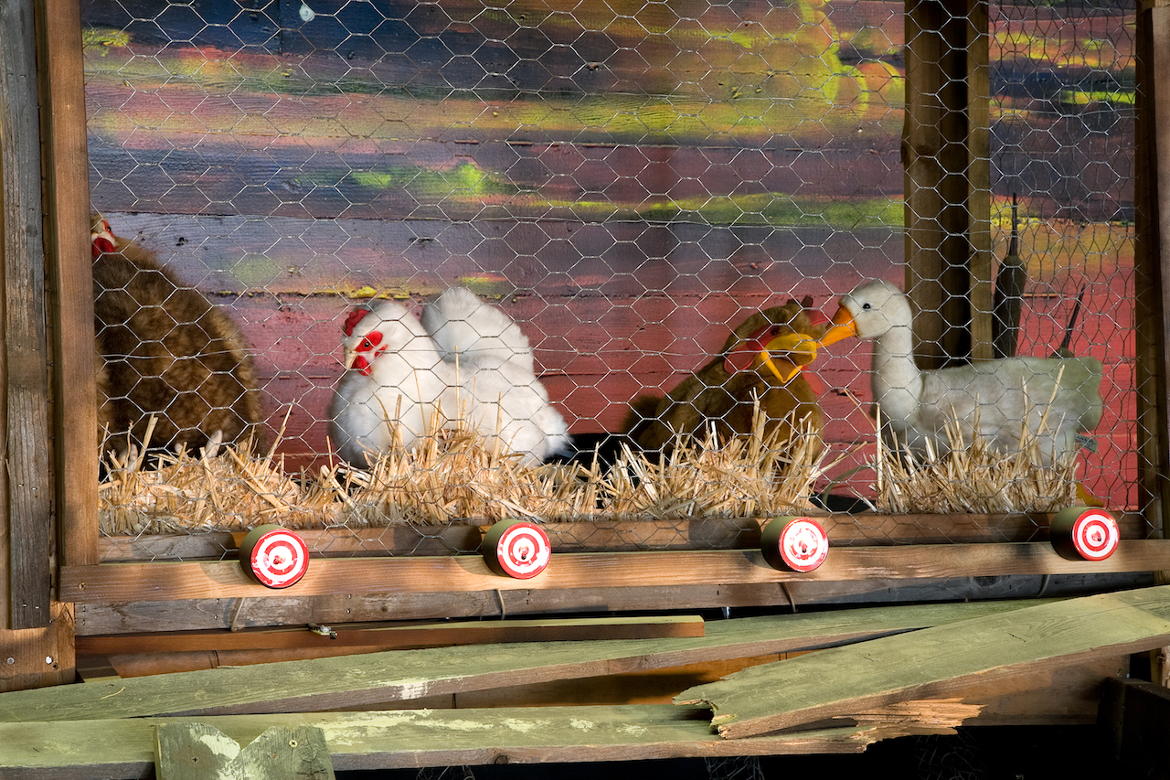 Chickens