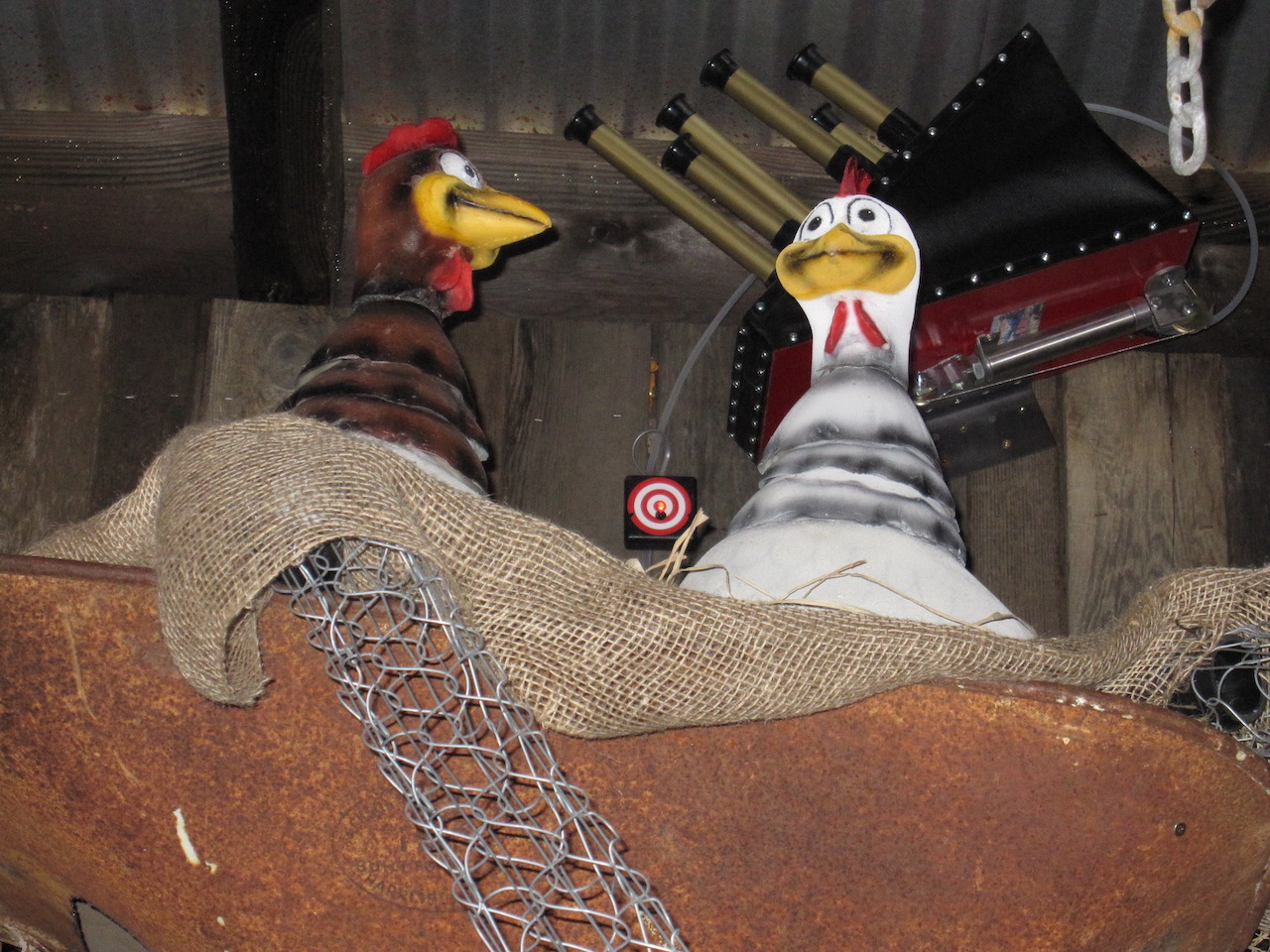 Chickens