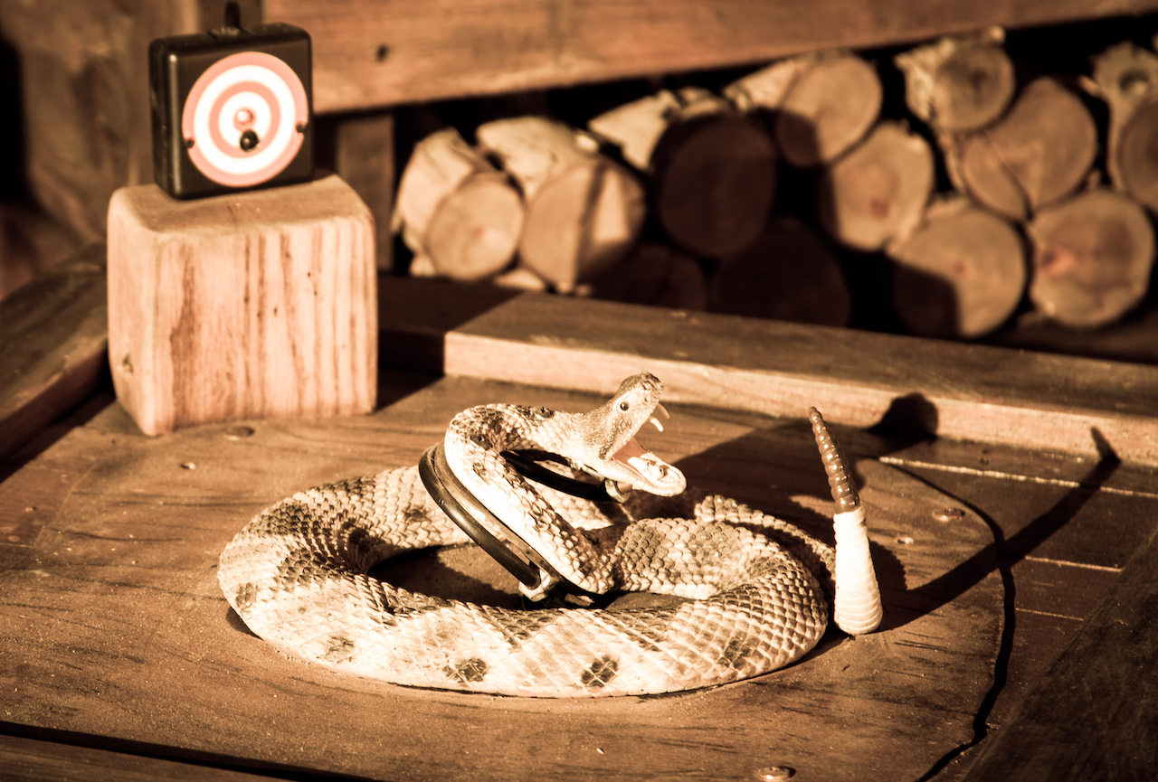 Detail Snake