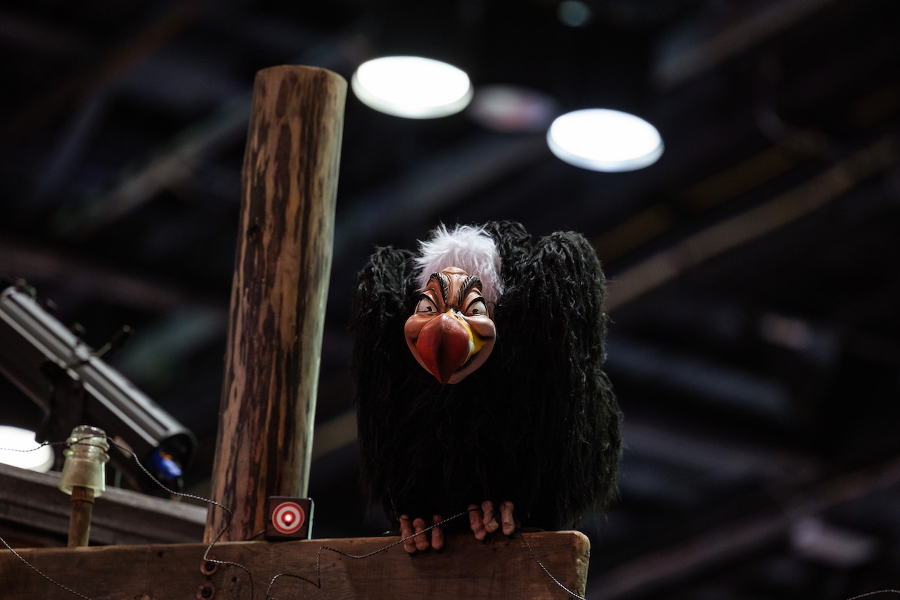 Buzzard