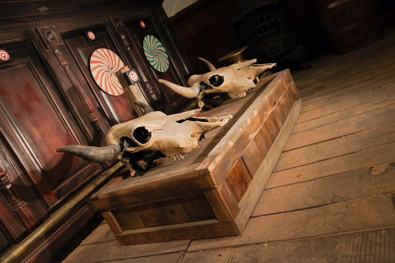 Cow Skulls