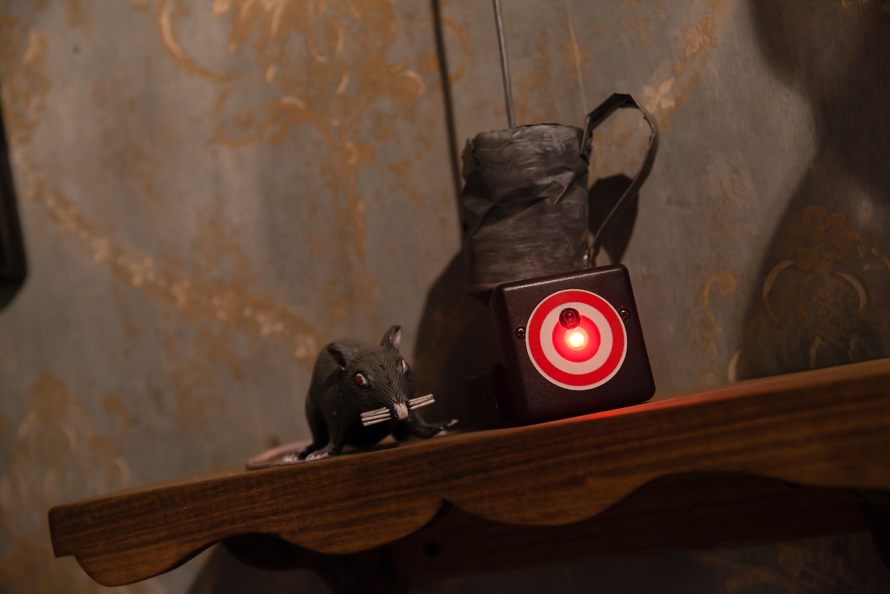 Rat