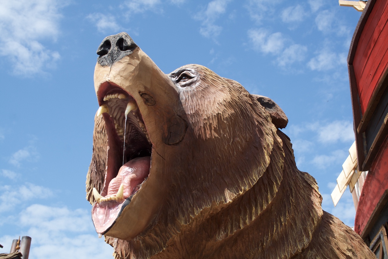 Grizzly Bear