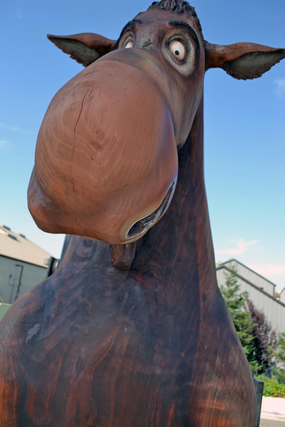 Moose